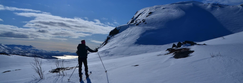 Ski på Topp Narvik 2020/2021